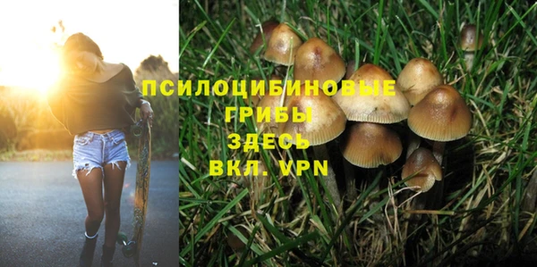 PSILOCYBIN Вязники